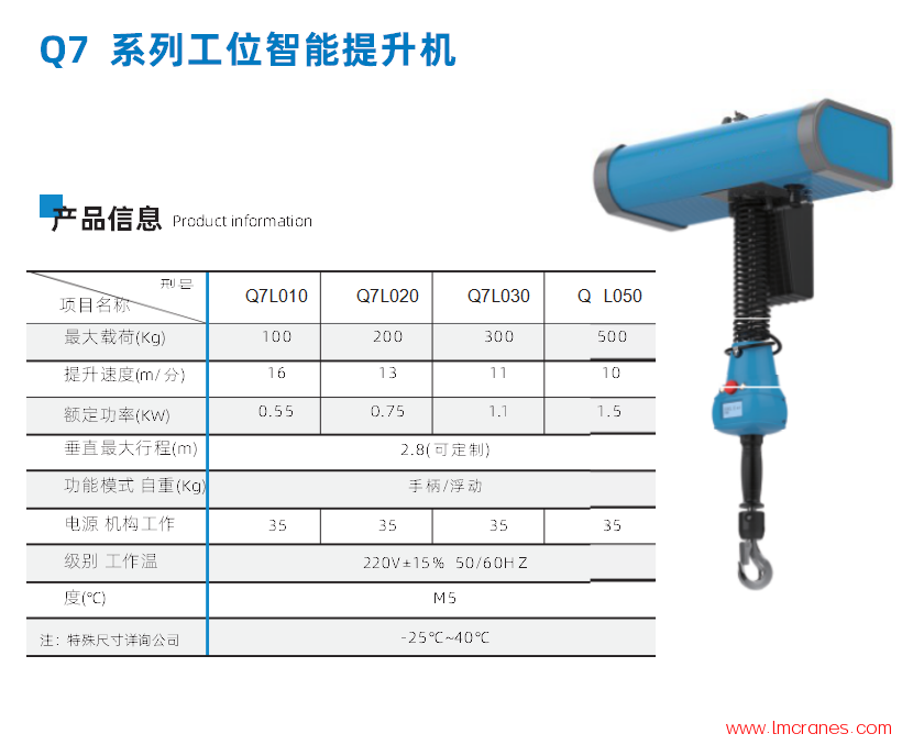 智能环链电动葫芦技术参数